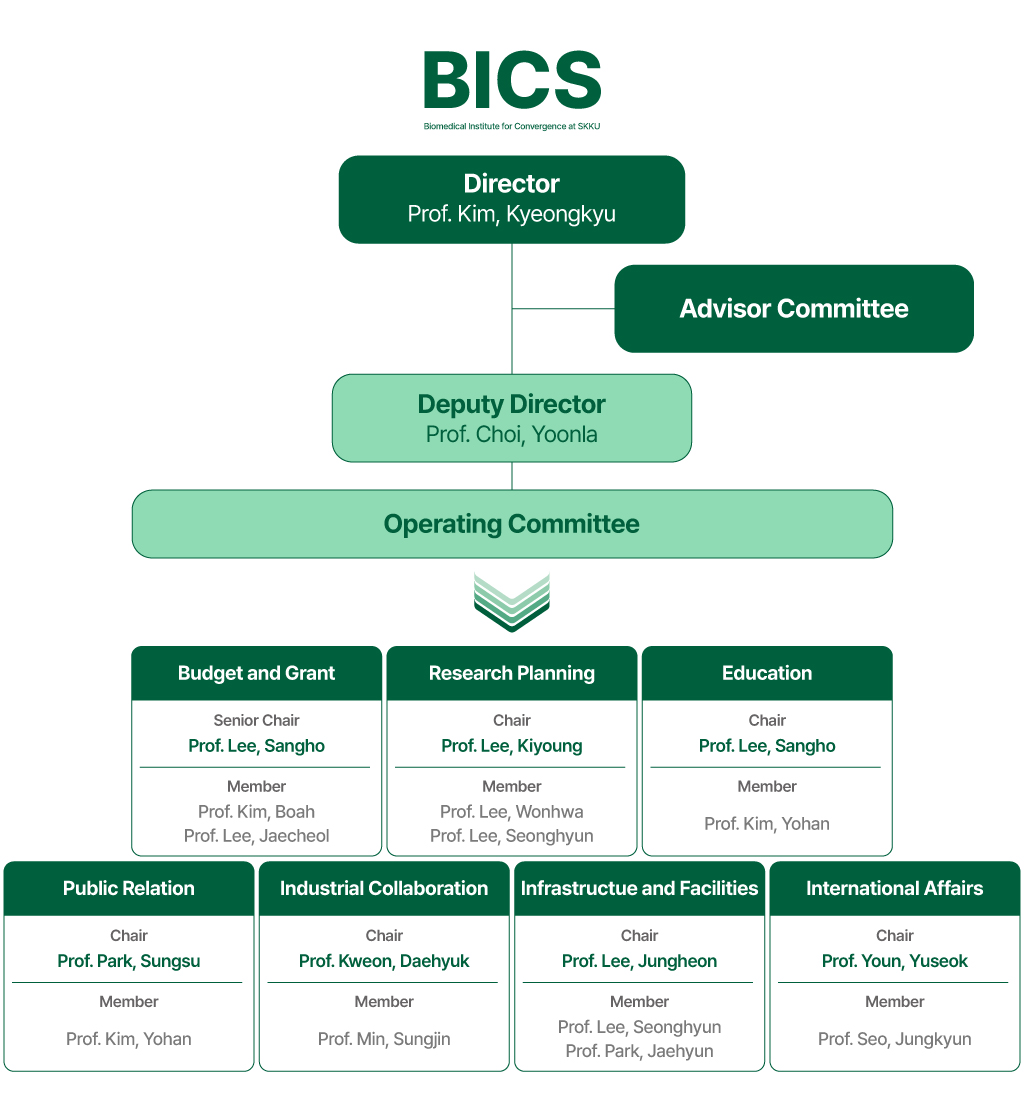 BICS Organization Chart