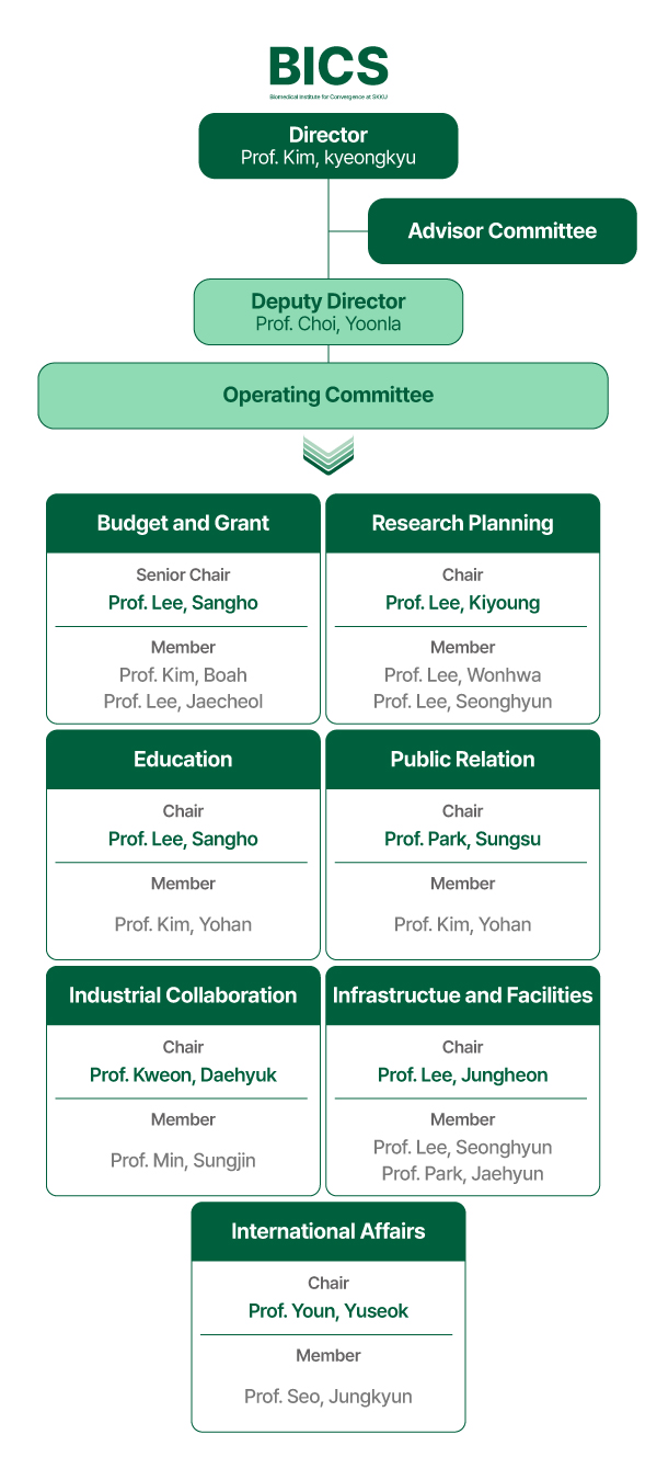 BICS Organization Chart
