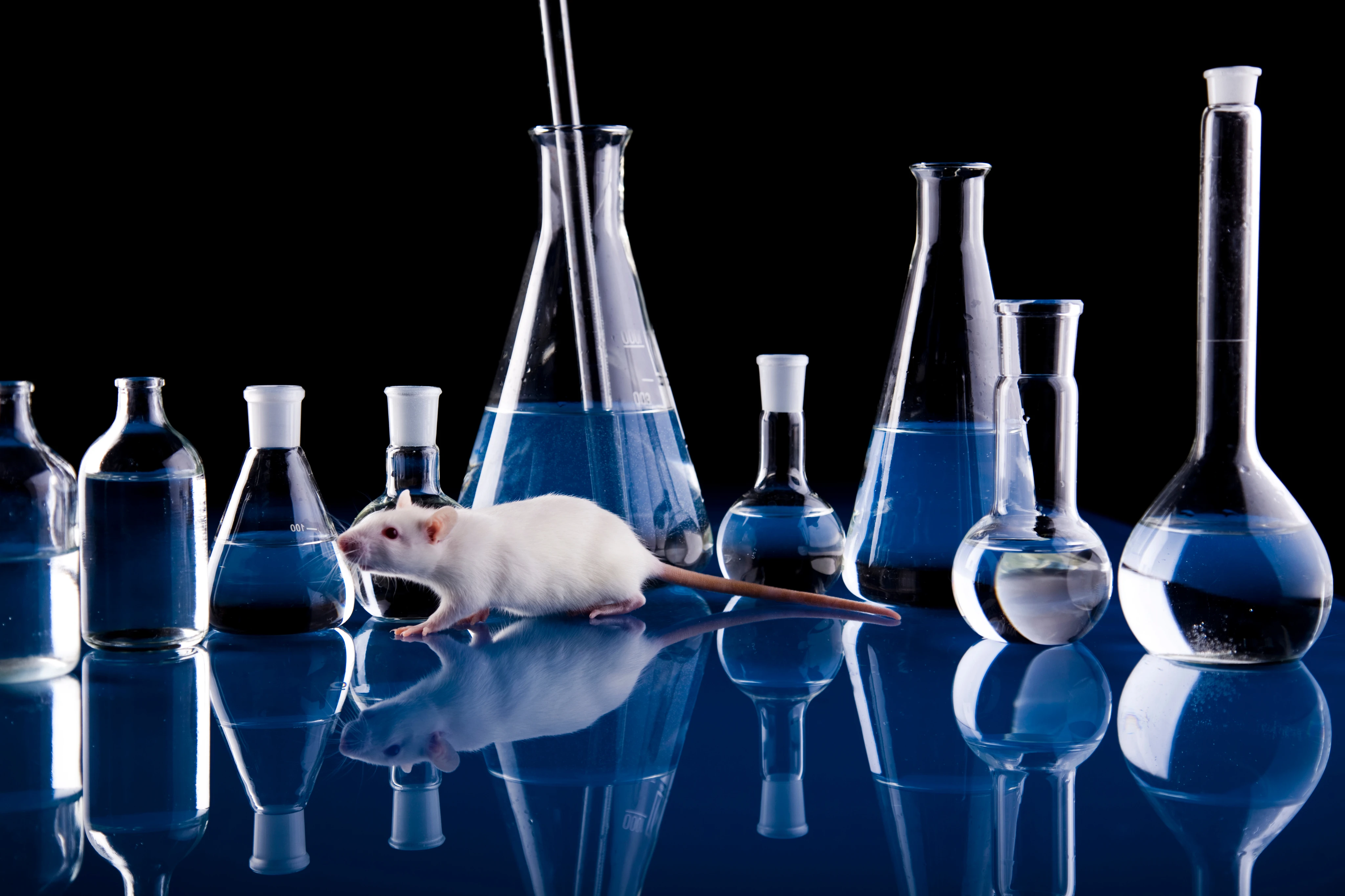 Laboratory Animal Center